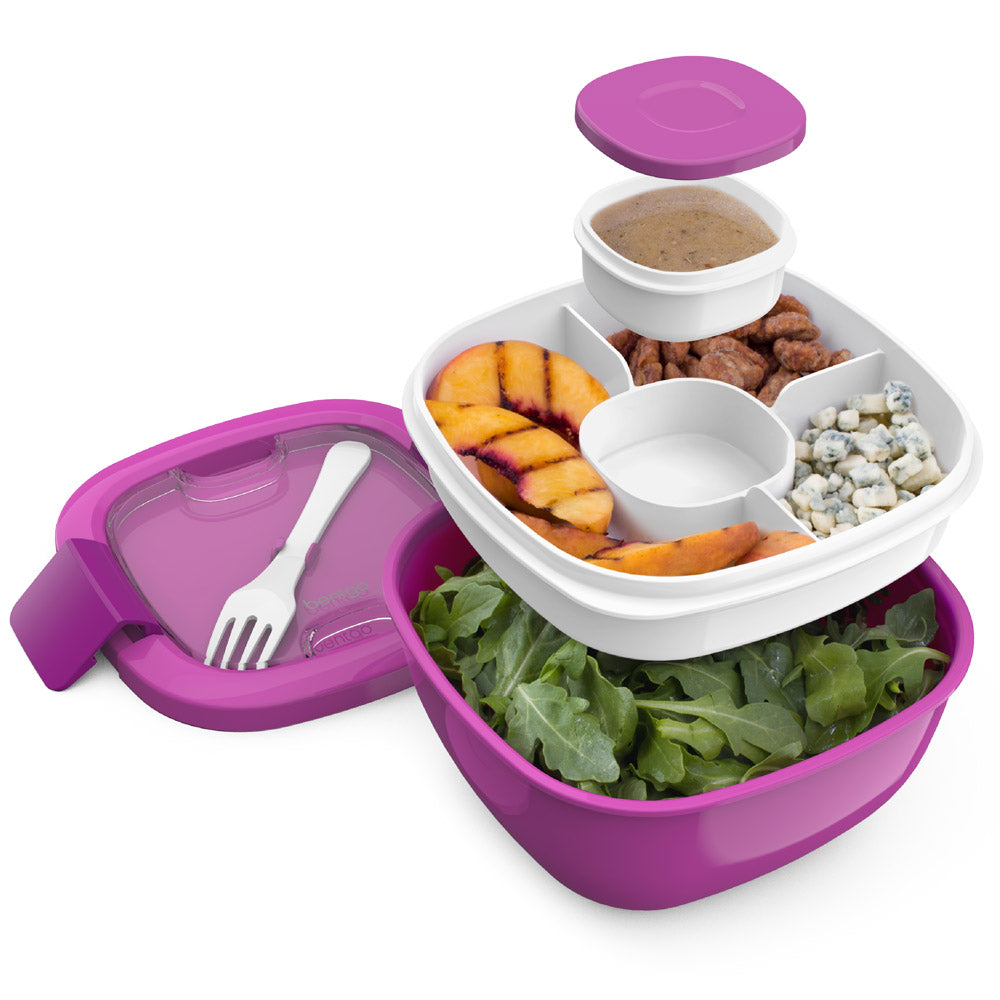 bentgo-all-in-one-salad-container-t3 BGOSAL-P_2b0e9955-f3a9-4f61-a22a-141ef6ae0a6e.jpg
